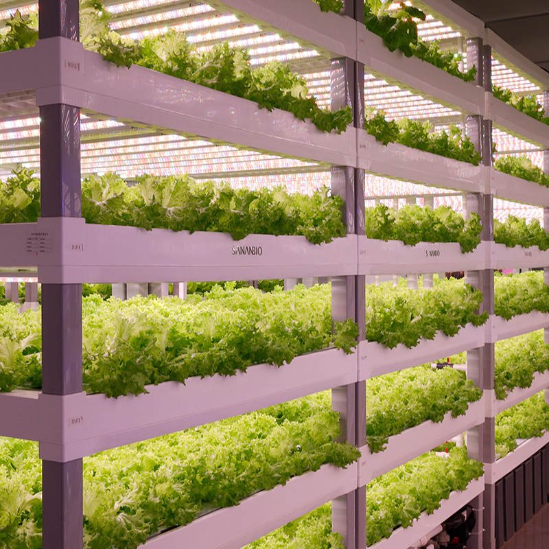 Growing Modules